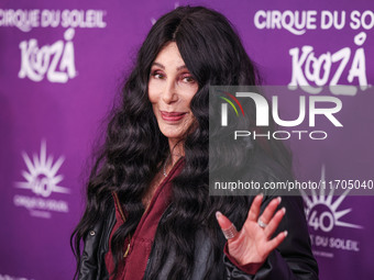 Cher arrives at Cirque du Soleil's 'KOOZA' Red Carpet Premiere held at the Santa Monica Pier on October 24, 2024 in Santa Monica, Los Angele...