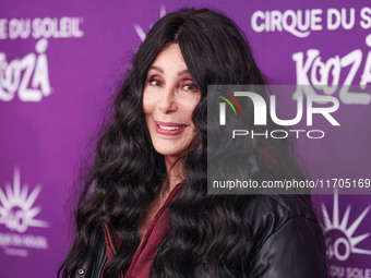 Cher arrives at Cirque du Soleil's 'KOOZA' Red Carpet Premiere held at the Santa Monica Pier on October 24, 2024 in Santa Monica, Los Angele...