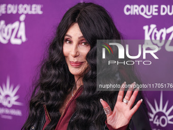 Cher arrives at Cirque du Soleil's 'KOOZA' Red Carpet Premiere held at the Santa Monica Pier on October 24, 2024 in Santa Monica, Los Angele...