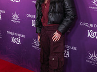 Cher arrives at Cirque du Soleil's 'KOOZA' Red Carpet Premiere held at the Santa Monica Pier on October 24, 2024 in Santa Monica, Los Angele...