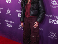 Cher arrives at Cirque du Soleil's 'KOOZA' Red Carpet Premiere held at the Santa Monica Pier on October 24, 2024 in Santa Monica, Los Angele...