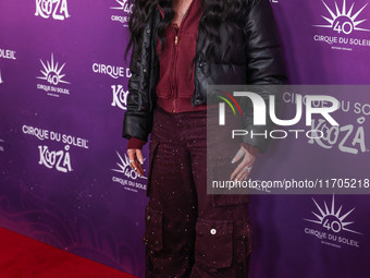 Cher arrives at Cirque du Soleil's 'KOOZA' Red Carpet Premiere held at the Santa Monica Pier on October 24, 2024 in Santa Monica, Los Angele...