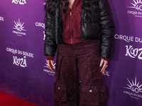 Cher arrives at Cirque du Soleil's 'KOOZA' Red Carpet Premiere held at the Santa Monica Pier on October 24, 2024 in Santa Monica, Los Angele...