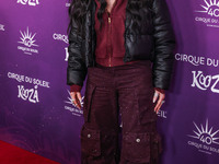 Cher arrives at Cirque du Soleil's 'KOOZA' Red Carpet Premiere held at the Santa Monica Pier on October 24, 2024 in Santa Monica, Los Angele...