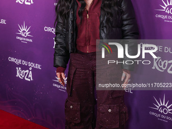 Cher arrives at Cirque du Soleil's 'KOOZA' Red Carpet Premiere held at the Santa Monica Pier on October 24, 2024 in Santa Monica, Los Angele...