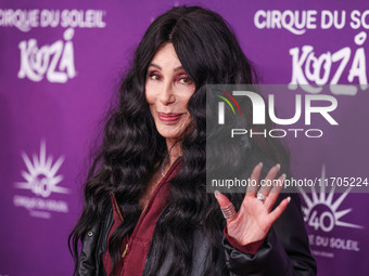 Cher arrives at Cirque du Soleil's 'KOOZA' Red Carpet Premiere held at the Santa Monica Pier on October 24, 2024 in Santa Monica, Los Angele...