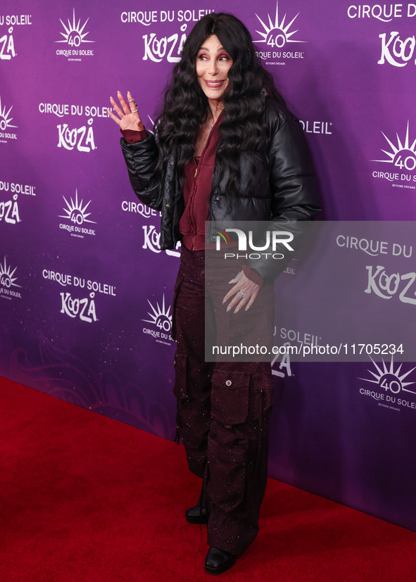 Cher arrives at Cirque du Soleil's 'KOOZA' Red Carpet Premiere held at the Santa Monica Pier on October 24, 2024 in Santa Monica, Los Angele...