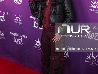 Cher arrives at Cirque du Soleil's 'KOOZA' Red Carpet Premiere held at the Santa Monica Pier on October 24, 2024 in Santa Monica, Los Angele...