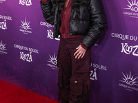 Cher arrives at Cirque du Soleil's 'KOOZA' Red Carpet Premiere held at the Santa Monica Pier on October 24, 2024 in Santa Monica, Los Angele...