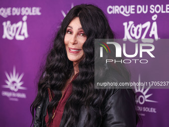 Cher arrives at Cirque du Soleil's 'KOOZA' Red Carpet Premiere held at the Santa Monica Pier on October 24, 2024 in Santa Monica, Los Angele...