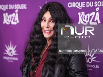 Cher arrives at Cirque du Soleil's 'KOOZA' Red Carpet Premiere held at the Santa Monica Pier on October 24, 2024 in Santa Monica, Los Angele...