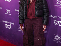 Cher arrives at Cirque du Soleil's 'KOOZA' Red Carpet Premiere held at the Santa Monica Pier on October 24, 2024 in Santa Monica, Los Angele...