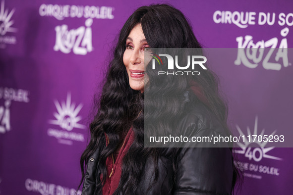 Cher arrives at Cirque du Soleil's 'KOOZA' Red Carpet Premiere held at the Santa Monica Pier on October 24, 2024 in Santa Monica, Los Angele...