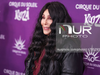 Cher arrives at Cirque du Soleil's 'KOOZA' Red Carpet Premiere held at the Santa Monica Pier on October 24, 2024 in Santa Monica, Los Angele...