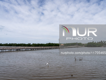 A large bridge leads to the beach in Tak Bai. Daily life in Tak Bai, Narathiwat, Thailand, on October 25, 2024, reflects the history of an i...