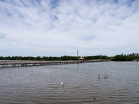 A large bridge leads to the beach in Tak Bai. Daily life in Tak Bai, Narathiwat, Thailand, on October 25, 2024, reflects the history of an i...