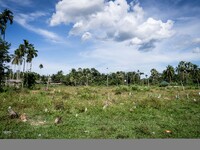 Daily life in Tak Bai, Narathiwat, Thailand, on October 25, 2024. Tak Bai is the site of an incident that results in the death of 85 Muslim...