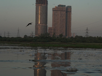 Toxic frothing is seen in the Yamuna River at Kalindi Kunj in New Delhi, India, on October 25, 2024. (