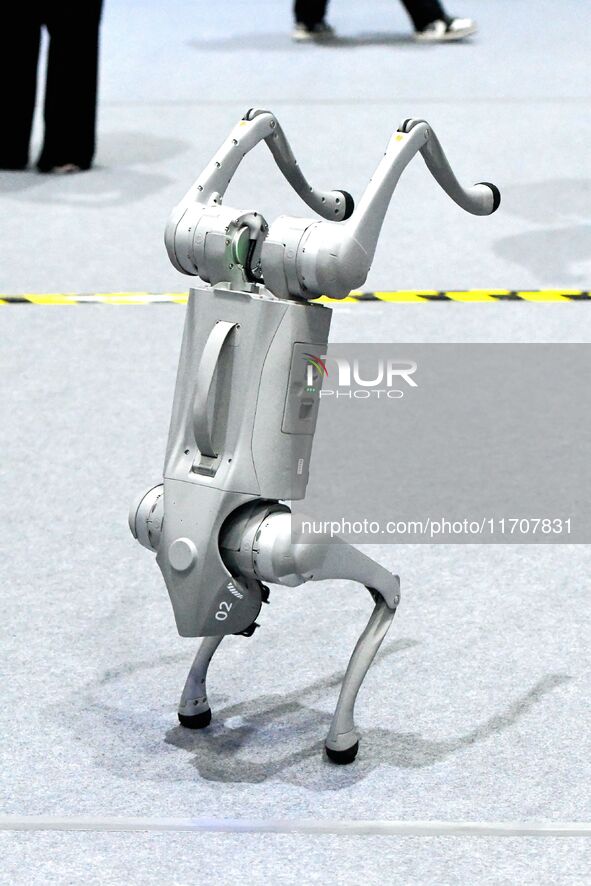 A robot dog performs a handstand during the Qingdao International Invitational Tournament of the 2024 Asia-Pacific RoboCup in Qingdao, China...