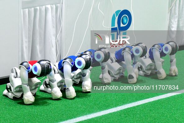 Robots charge during a break in the Qingdao International Invitational Tournament of the 2024 RoboCup Asia Pacific in Qingdao, China, on Oct...