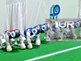 Robots charge during a break in the Qingdao International Invitational Tournament of the 2024 RoboCup Asia Pacific in Qingdao, China, on Oct...