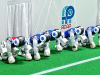 Robots charge during a break in the Qingdao International Invitational Tournament of the 2024 RoboCup Asia Pacific in Qingdao, China, on Oct...