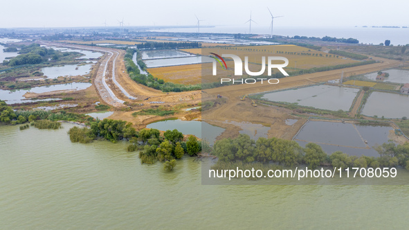 Workers work on the Hongze Lake water conservancy project in Suqian, Jiangsu province, China, on October 26, 2024. 