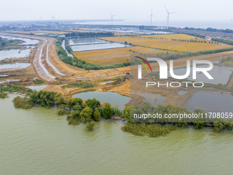 Workers work on the Hongze Lake water conservancy project in Suqian, Jiangsu province, China, on October 26, 2024. (