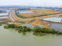 Workers work on the Hongze Lake water conservancy project in Suqian, Jiangsu province, China, on October 26, 2024. (