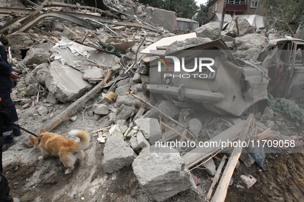 A search and rescue dog from the Antaries SAR canine unit in Pavlohrad looks for dead bodies on the ruins in the Novokodatskyi district of D...