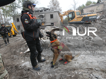 A search and rescue dog from the Antaries SAR canine unit in Pavlohrad looks for dead bodies on the ruins in the Novokodatskyi district of D...