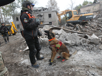 A search and rescue dog from the Antaries SAR canine unit in Pavlohrad looks for dead bodies on the ruins in the Novokodatskyi district of D...