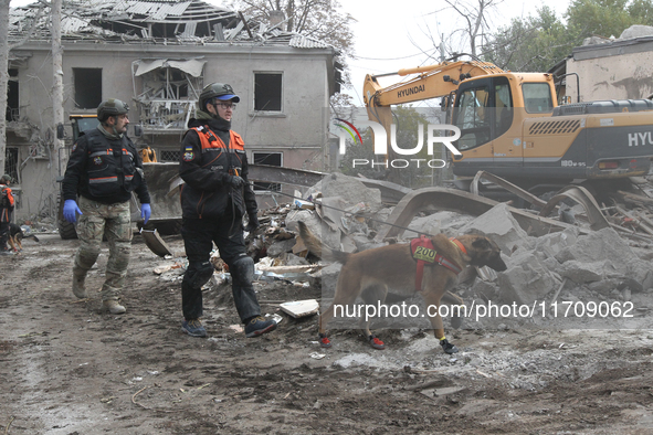 A search and rescue dog from the Antaries SAR canine unit in Pavlohrad looks for dead bodies on the ruins in the Novokodatskyi district of D...