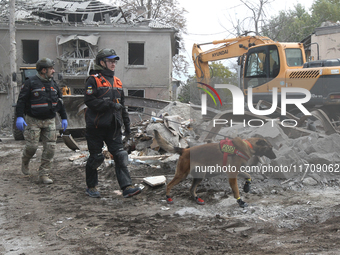 A search and rescue dog from the Antaries SAR canine unit in Pavlohrad looks for dead bodies on the ruins in the Novokodatskyi district of D...