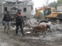 A search and rescue dog from the Antaries SAR canine unit in Pavlohrad looks for dead bodies on the ruins in the Novokodatskyi district of D...