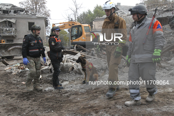 A search and rescue dog from the Antaries SAR canine unit in Pavlohrad looks for dead bodies on the ruins in the Novokodatskyi district of D...