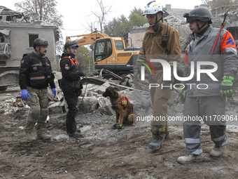 A search and rescue dog from the Antaries SAR canine unit in Pavlohrad looks for dead bodies on the ruins in the Novokodatskyi district of D...