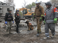 A search and rescue dog from the Antaries SAR canine unit in Pavlohrad looks for dead bodies on the ruins in the Novokodatskyi district of D...