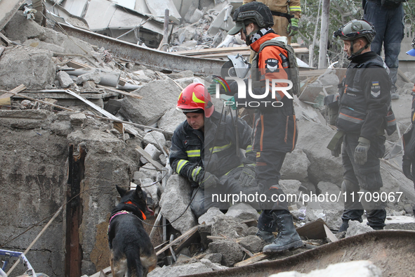 A search and rescue dog from the Antaries SAR canine unit in Pavlohrad looks for dead bodies on the ruins in the Novokodatskyi district of D...