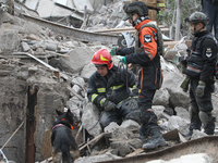 A search and rescue dog from the Antaries SAR canine unit in Pavlohrad looks for dead bodies on the ruins in the Novokodatskyi district of D...