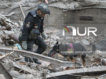 A search and rescue dog from the Antaries SAR canine unit in Pavlohrad looks for dead bodies on the ruins in the Novokodatskyi district of D...