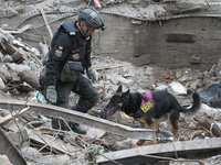 A search and rescue dog from the Antaries SAR canine unit in Pavlohrad looks for dead bodies on the ruins in the Novokodatskyi district of D...