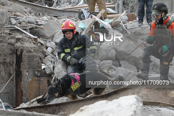 A search and rescue dog from the Antaries SAR canine unit in Pavlohrad looks for dead bodies on the ruins in the Novokodatskyi district of D...