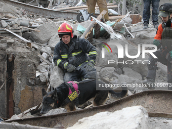 A search and rescue dog from the Antaries SAR canine unit in Pavlohrad looks for dead bodies on the ruins in the Novokodatskyi district of D...