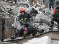 A search and rescue dog from the Antaries SAR canine unit in Pavlohrad looks for dead bodies on the ruins in the Novokodatskyi district of D...