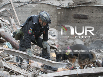 A search and rescue dog from the Antaries SAR canine unit in Pavlohrad looks for dead bodies on the ruins in the Novokodatskyi district of D...