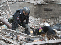 A search and rescue dog from the Antaries SAR canine unit in Pavlohrad looks for dead bodies on the ruins in the Novokodatskyi district of D...