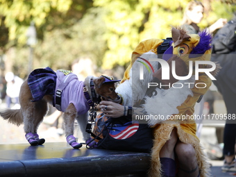 Dogs participate in the 34th Annual Halloween Dog Parade in Washington Square Park in lower Manhattan, New York, New York, U.S., on October...