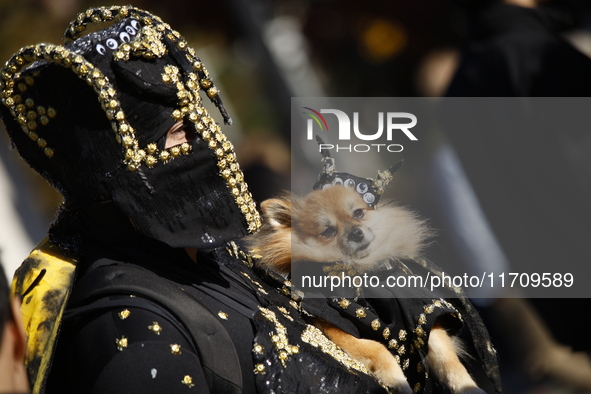 Dogs participate in the 34th Annual Halloween Dog Parade in Washington Square Park in lower Manhattan, New York, New York, U.S., on October...