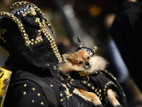 Dogs participate in the 34th Annual Halloween Dog Parade in Washington Square Park in lower Manhattan, New York, New York, U.S., on October...